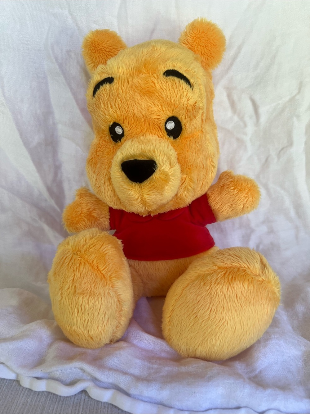 Disney Pooh Big Toes Stuffed Plush- Classic Character Stuffed Toy